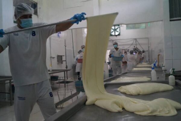 Inauguran moderno centro lácteo en Mulukukú para fortalecer producción y exportación