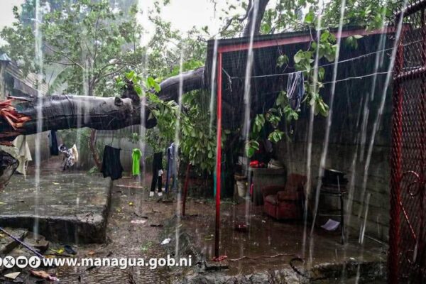 Gobierno de Nicaragua reporta 43 incidencias tras lluvias y fuertes vientos