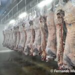 Industrial Comercial San Martín envía a China su primer contenedor con más de 21 mil kilos de carne bovina
