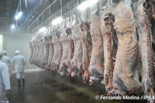 Industrial Comercial San Martín envía a China su primer contenedor con más de 21 mil kilos de carne bovina