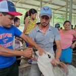 INTA realizó capacitación de practica para el manejo sanitario de vacas reproductoras y terneros