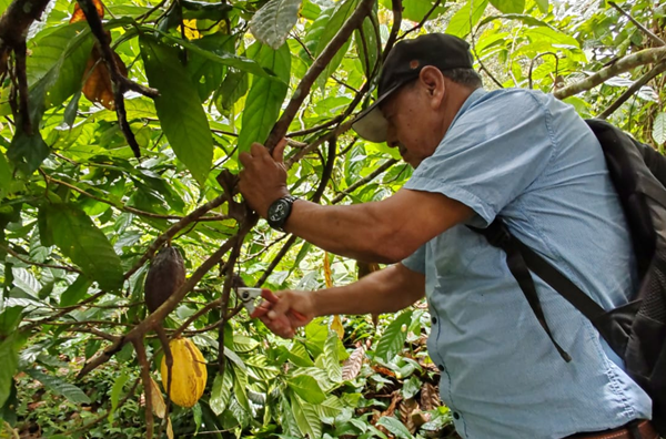 Producción, emprendimientos y educación, pilares del desarrollo