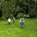 Juventud Promueve Conservación en Reserva BOSAWÁS