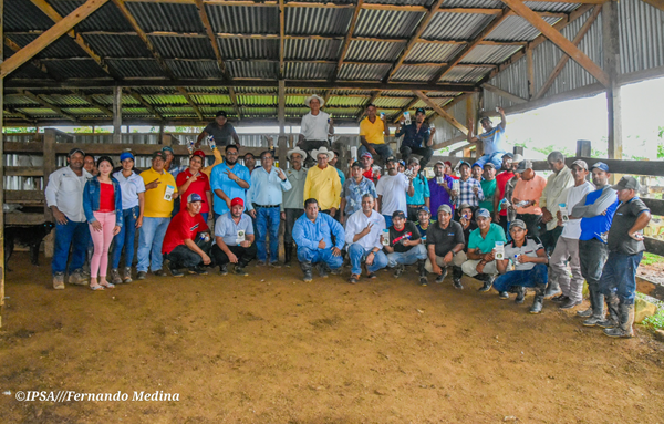 IPSA fortalece acciones sanitarias contra el Gusano Barrenador del Ganado en Chontales