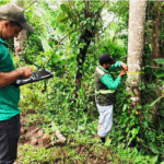 MARENA Avanza con un 61% en el Inventario Nacional Forestal 2025