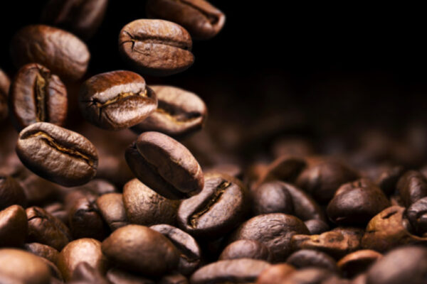 IV Edición de Expocafé se realizará en Nueva Segovia