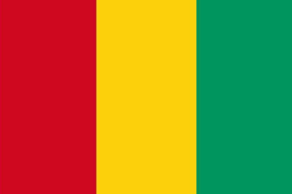 Mensaje de felicitación por los 67 Años de Independencia de la República de Guinea