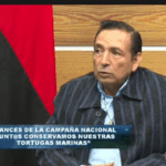 Nicaragua avanza en la protección y conservación de las tortugas marinas