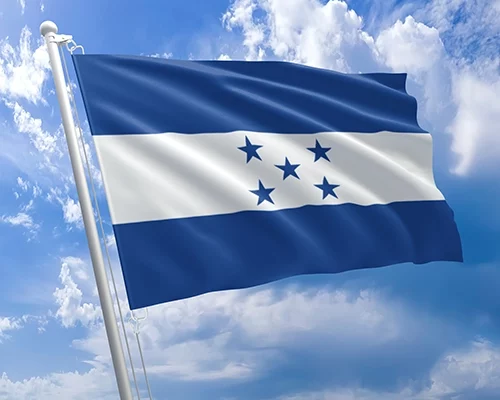 Nicaragua saluda al pueblo de Honduras en su jornada electoral