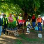 ENACAL impulsa la protección de fuentes de agua con reforestación en zonas de recarga hídricas