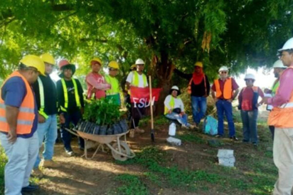 ENACAL impulsa la protección de fuentes de agua con reforestación en zonas de recarga hídricas