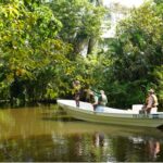 Monitoreos ambientales refuerzan la protección de reptiles en 76 áreas de conservación
