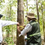 MARENA fortalece la gestión forestal y el aprovechamiento sostenible en Chontales