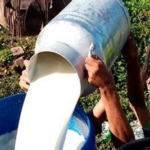 Producción nacional de leche garantiza abastecimiento y fortalecimiento de la economía local
