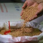 Solidaridad entre pueblos: Nicaragua recibirá donación de urea y trigo de China