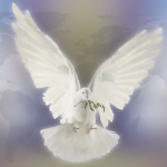 Copresidenta Rosario Murillo eleva llamado a la paz para las familias del mundo