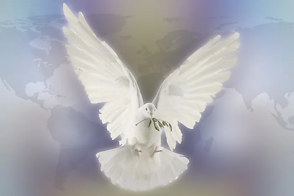 Copresidenta Rosario Murillo eleva llamado a la paz para las familias del mundo