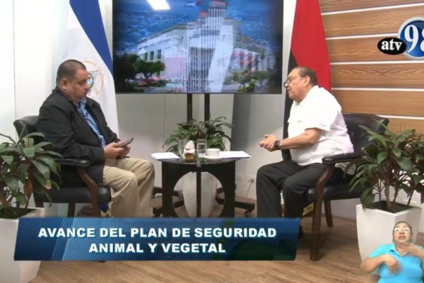 Nicaragua fortalece vigilancia sanitaria animal y vegetal para garantizar alimentos seguros y exportaciones