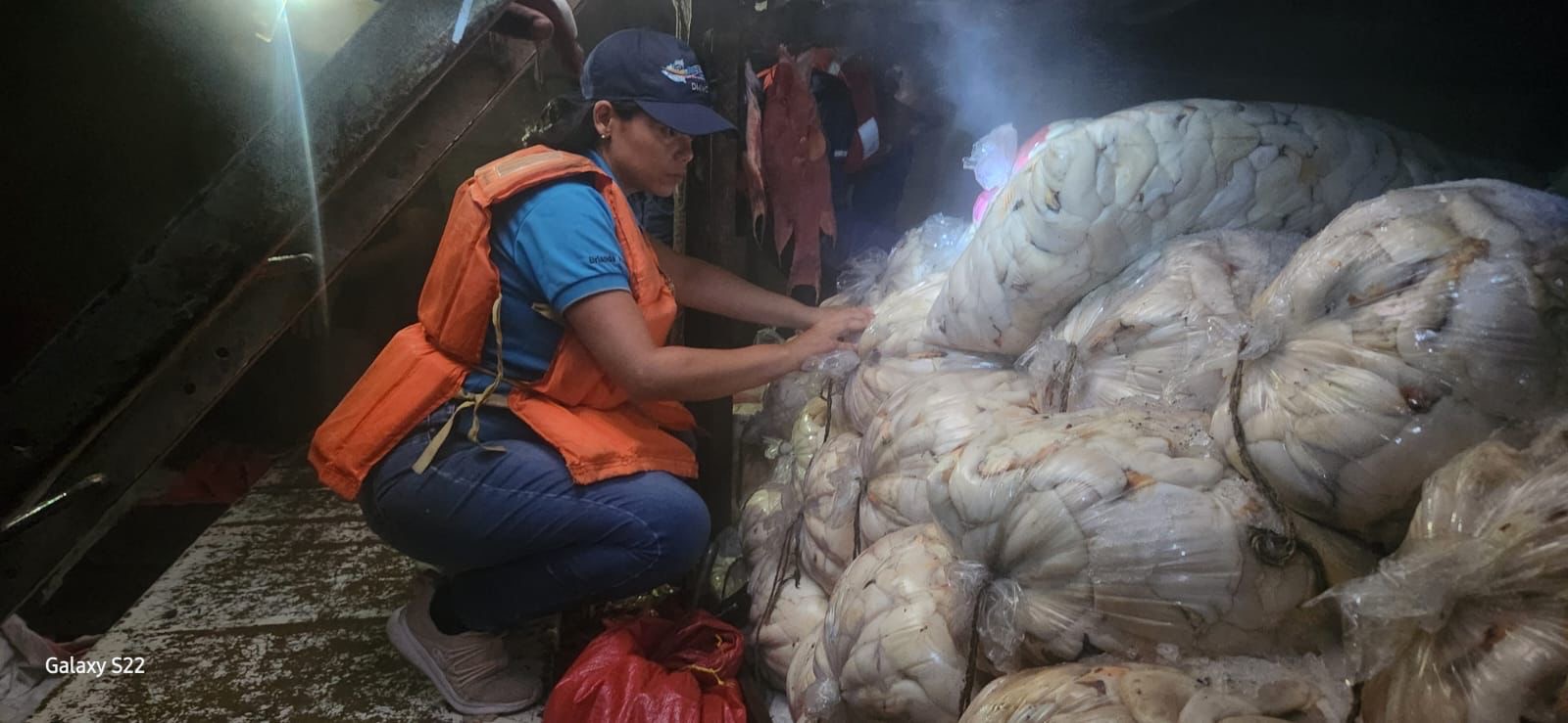 Refuerzan vigilancia sobre pesca de caracol rosado en el Caribe Norte
