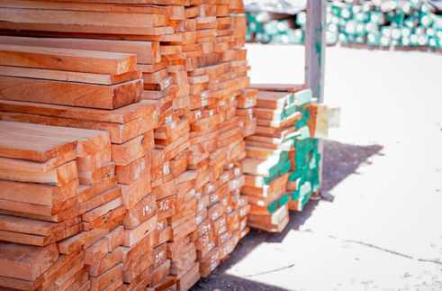 Exportaciones forestales superan los 430 mil dólares en marzo 2026