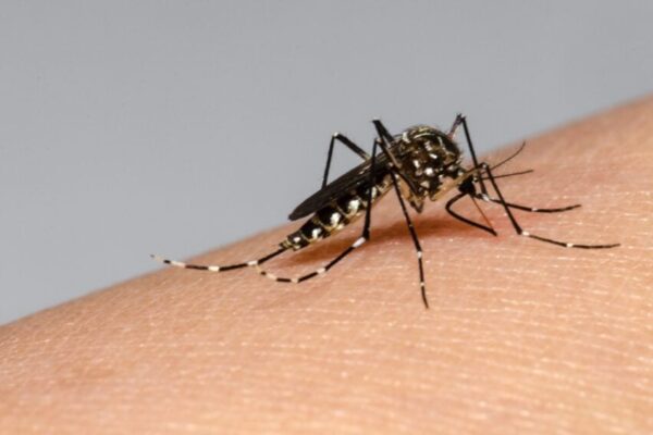 Disminuyen casos de Dengue, Malaria y Neumonía en Nicaragua