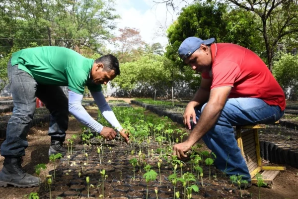 Campaña “Verde, Que Te Quiero Verde” alcanza 45% de cumplimiento de la meta anual