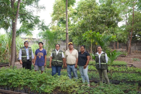 Industria forestal nicaragüense avanza con prácticas responsables y sostenibles