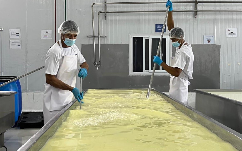 Nicaragua Produce 77.7 Millones de Libras de Queso y Cuajada