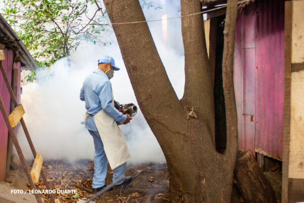 MINSA fortalece jornada antiepidémica en el barrio Ariel Darce para prevenir el dengue