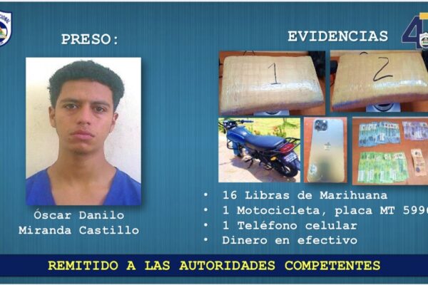Policía asesta nuevo golpe al crimen organizado con incautación de marihuana en Estelí