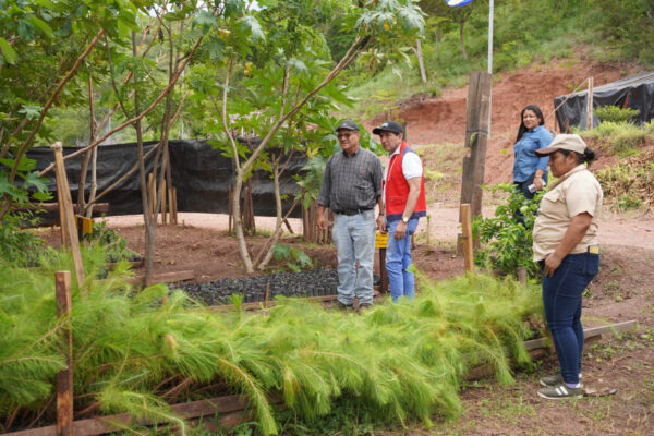 Campaña “Verde, Que Te Quiero Verde” fortalece producción de plantas forestales en Madriz y Estelí