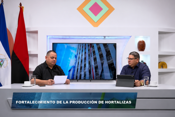 Producción agropecuaria en Nicaragua fortalece la seguridad alimentaria y el crecimiento económico