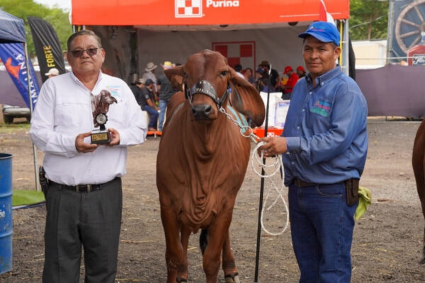 Proyecto Genético Bovino del IPSA en Feria Agostina Managua 2026