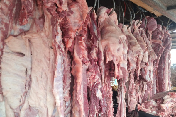 Producción de carne de cerdo alcanza 19.8 millones de libras entre enero y agosto de 2026