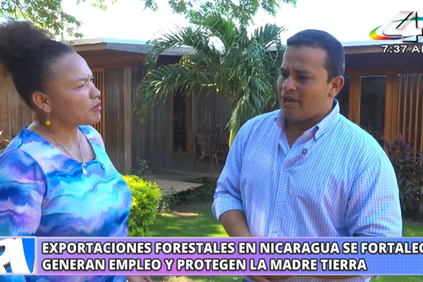 Exportaciones forestales de Nicaragua generan empleo, inversión y 2.7 millones de dólares en 2026